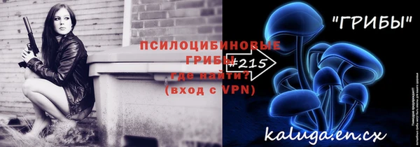 a pvp Каменка
